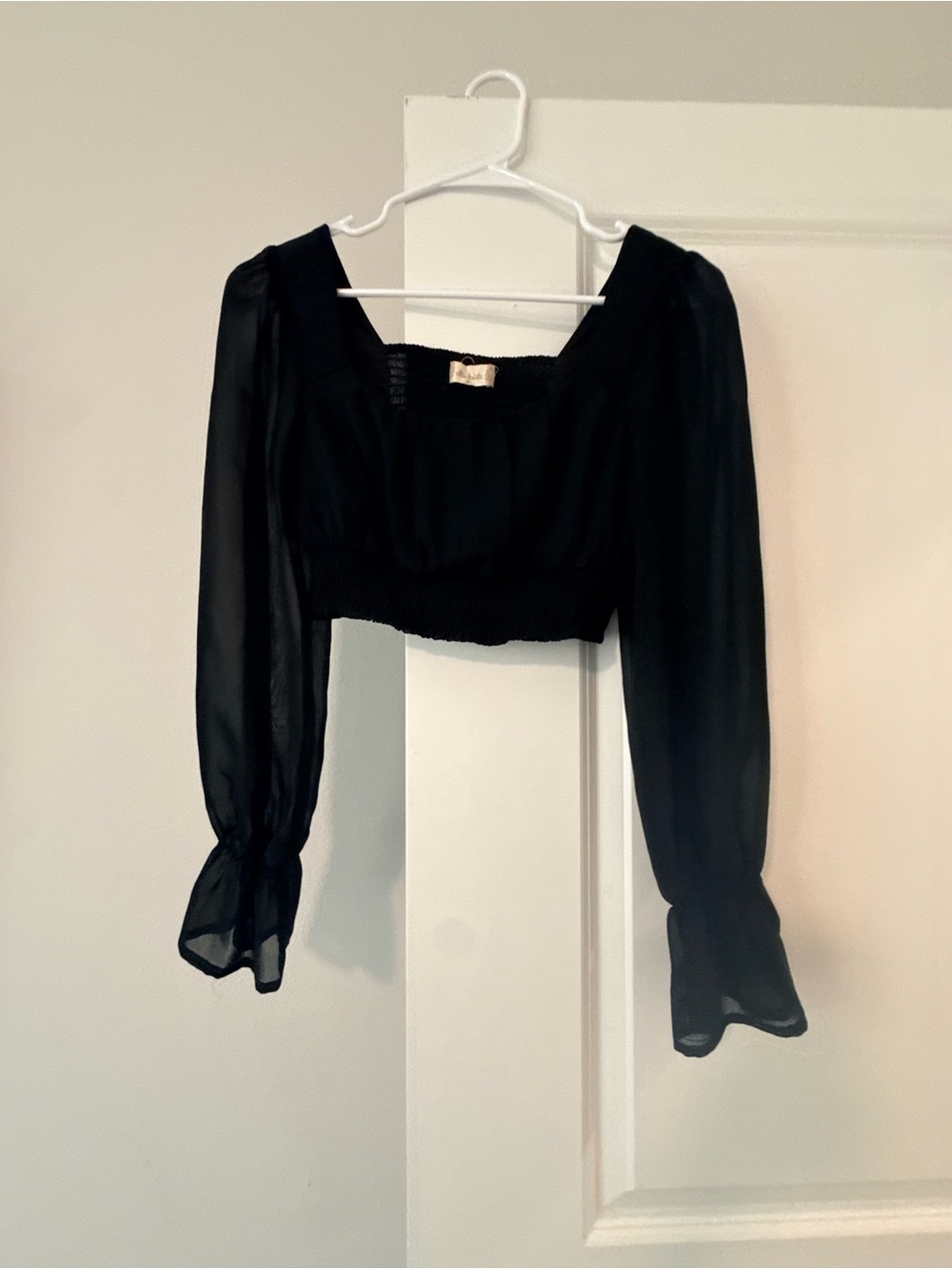 Altar'd State Black Sheer Long-Sleeve Smocked Crop Top